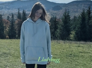 Lladybugg
