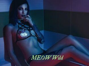 MEOW_Wild