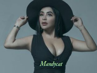Mandycat