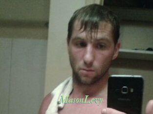Mason_Levy