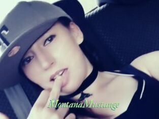 MontanaMustange