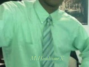 MrHandsomeX