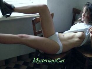 MysteriousCat