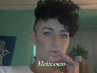 Makinamess