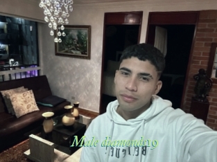 male_diamonds19 Tel Coquin