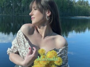 Malenakis