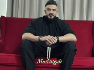 marcusgale Tel Coquin