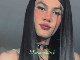 Mariambitech