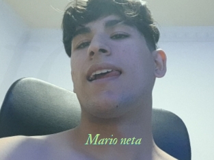 Mario_neta
