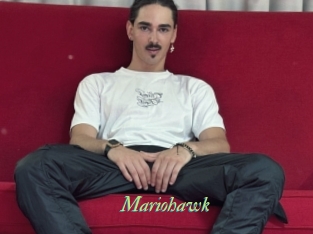 Mariohawk