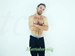 Martinhornybig