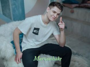 Marvinshake