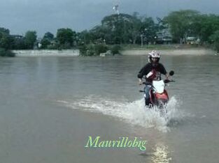 Maurillobig