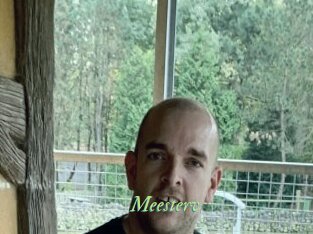 Meesterv