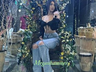 Meganhammer