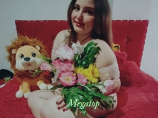 Megatop