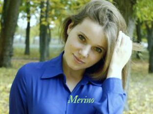Merino