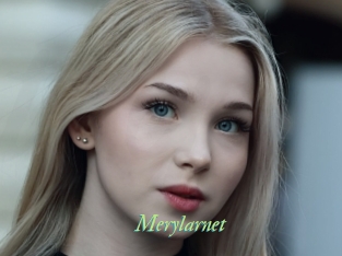 Merylarnet
