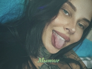 Miamoose