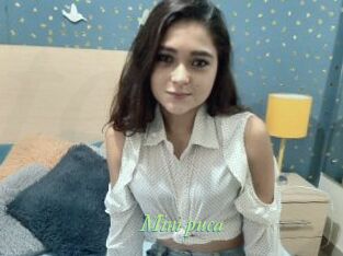 Mini_puca