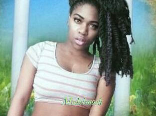 Modelmook