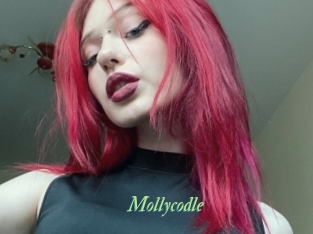 Mollycodle
