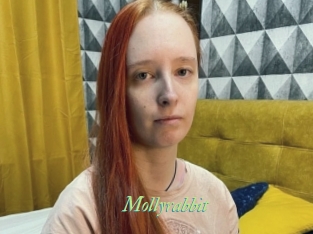 Mollyrabbit