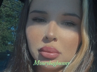 Moneybagbunny