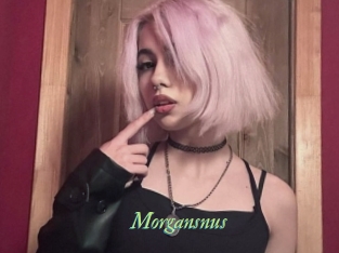 Morgansnus