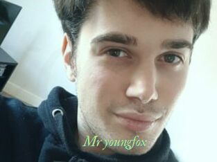 Mr_youngfox