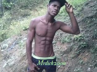 Mrdick20cm