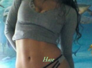 Hase