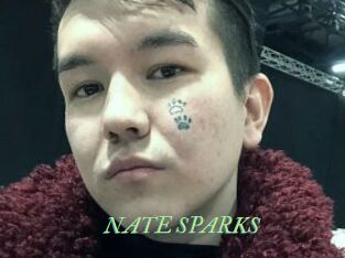 NATE_SPARKS