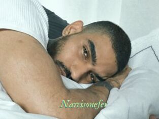 Narcisonefer