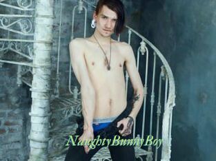NaughtyBunnyBoy