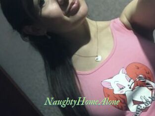 NaughtyHomeAlone