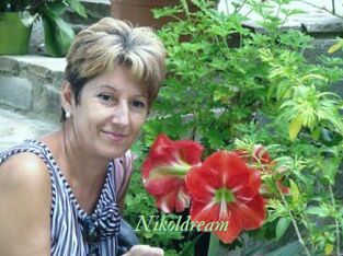 Nikoldream