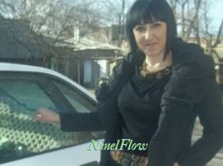 NinelFlow