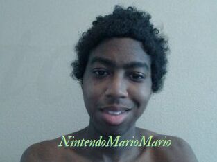 NintendoMarioMario