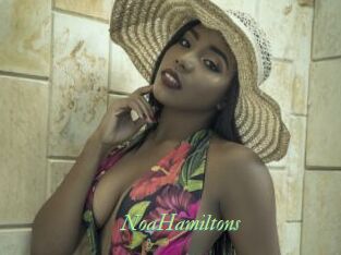 NoaHamiltons