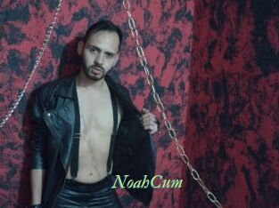 NoahCum