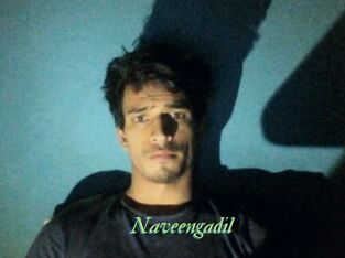 Naveengadil
