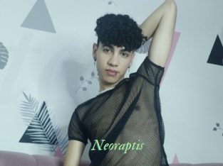 neoraptis Tel Coquin
