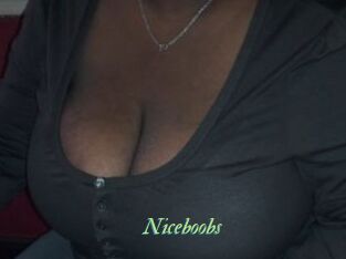 Niceboobs