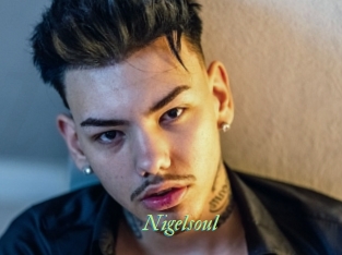 Nigelsoul