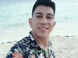 Noah_cock