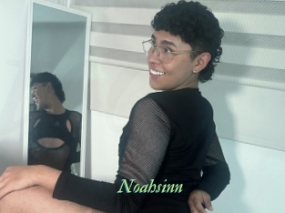 Noahsinn