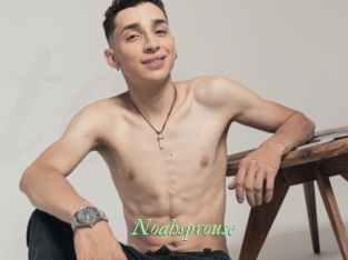 Noahsprouse