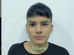 nohascot Tel Coquin