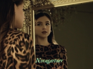 Noragartner